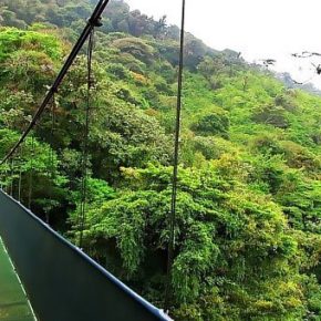 sky bridge
